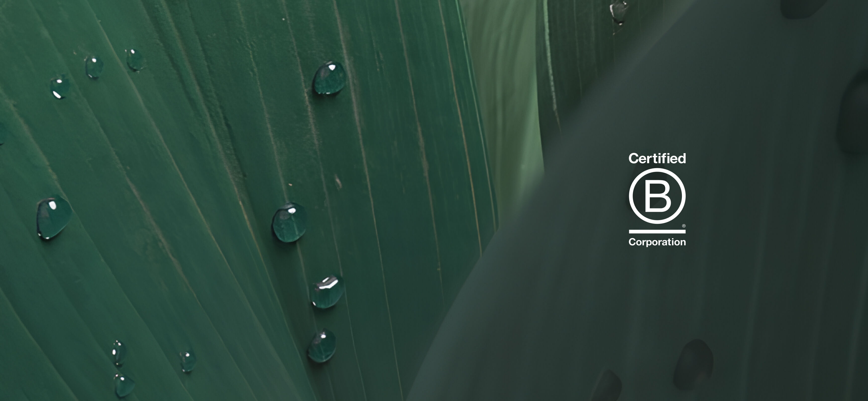 Shop Refurbished | Bugaboo